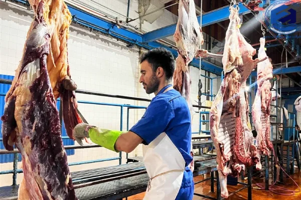 روش های تصفیه فاضلاب کشتارگاه