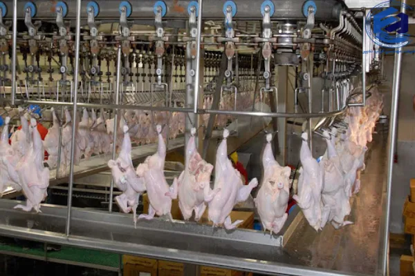 مزایای پکیج تصفیه فاضلاب کشتارگاه