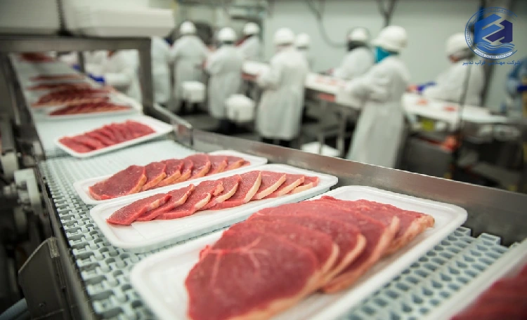 پکیج تصفیه فاضلاب صنایع فرآورده های گوشتی چیست؟