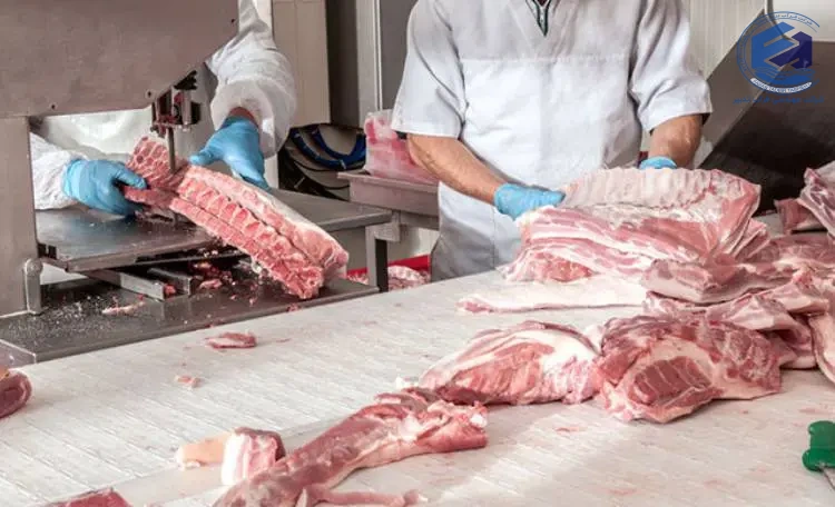 پکیج تصفیه فاضلاب صنایع فرآورده های گوشتی فلزی