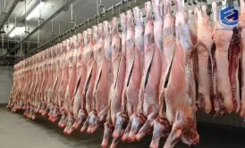 پکیج تصفیه فاضلاب کشتارگاه ها