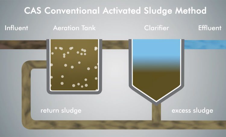 لجن فعال متعارف (CAS)