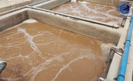 هوادهی گسترده (EAAS)