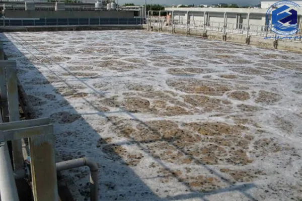 ویژگی رشد چسبیده با مدیای متحرک (MBBR)