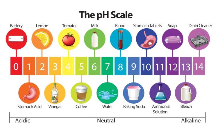 استاندارد PH آب و مواد غذایی