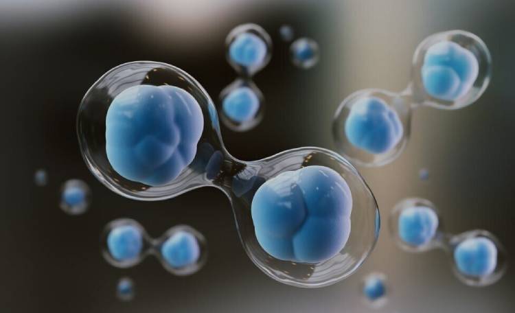 ازن زنی در تصفیه فاضلاب