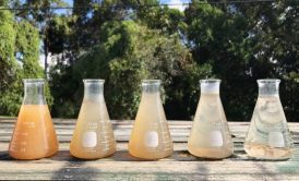 روش های حذف کدورت آب