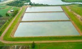 برکه تثبیت فاضلاب