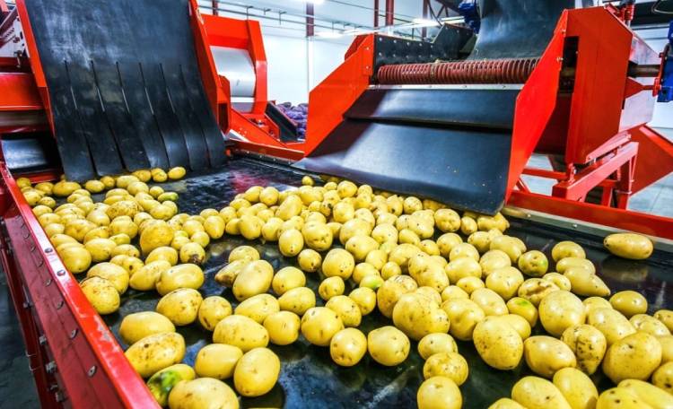 کاربرد سود پرک در صنایع مواد غذایی