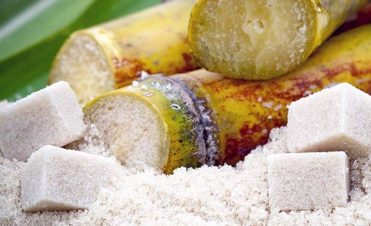 استفاده از کربن اکتیو در صنایع غذایی