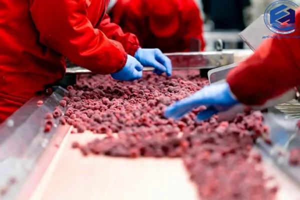 عوامل موثر در قیمت پکیج تصفیه فاضلاب صنایع غذایی