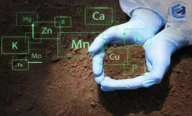 حذف فلزات سنگین از فاضلاب