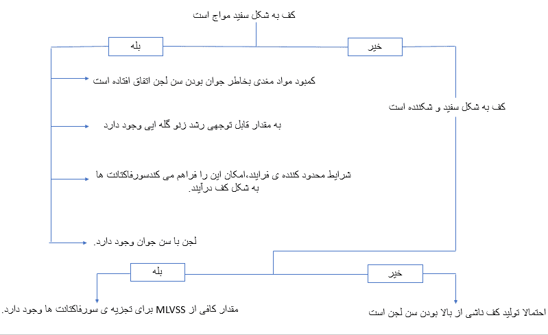 دلایل تولید کننده کف