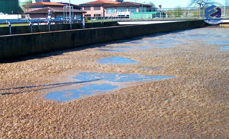 چرا کف قهوه ی تولید می شود؟