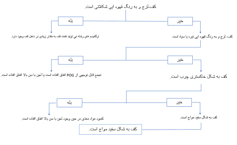 دلایل تولید کف فاضلاب