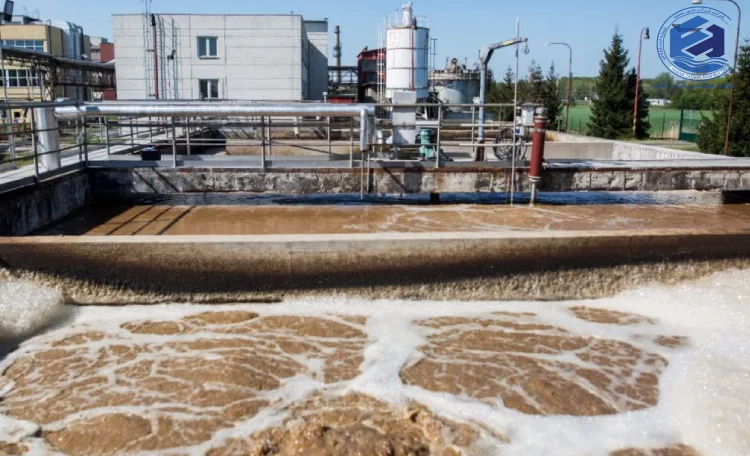 کف قهوه ای در فاضلاب