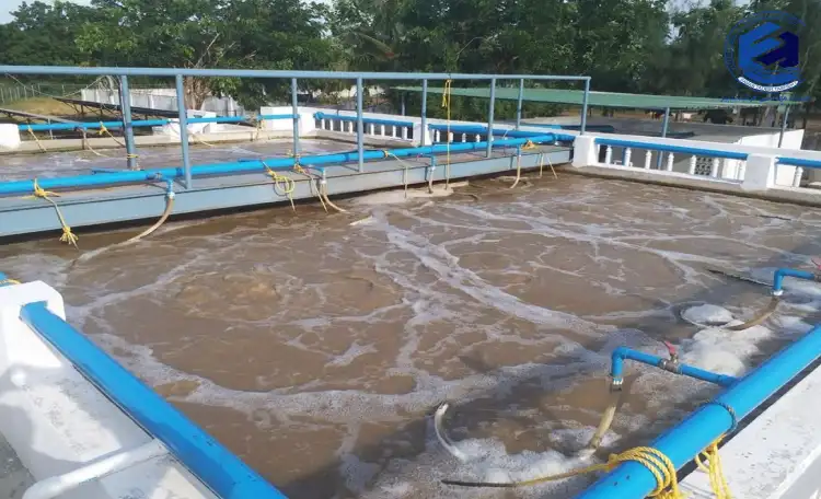 تصفیه آب و فاضلاب پرورش ماهی و شیلات
