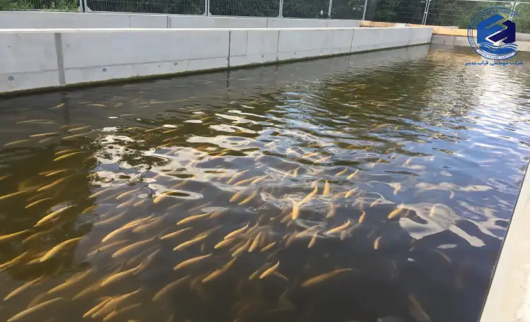 ویژگی _های فاضلاب پرورش ماهی و شیلات