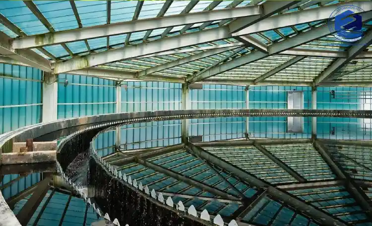 تصفیه فاضلاب جلبک سبز