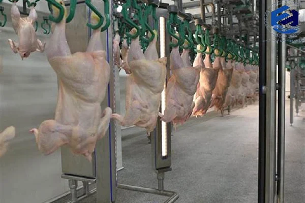 انتخاب پکیج تصفیه فاضلاب مرغداری