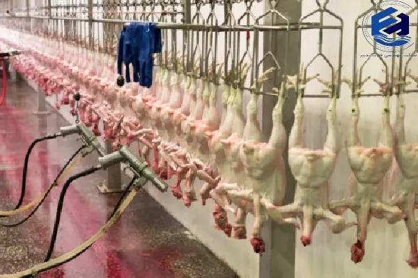 عملکرد پکیج های تصفیه فاضلاب مرغداری