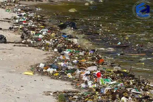 اثرات مخرب فاضلاب بر محیط زیست