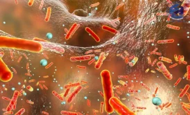 معرفی میکروارگانیسم در تصفیه فاضلاب