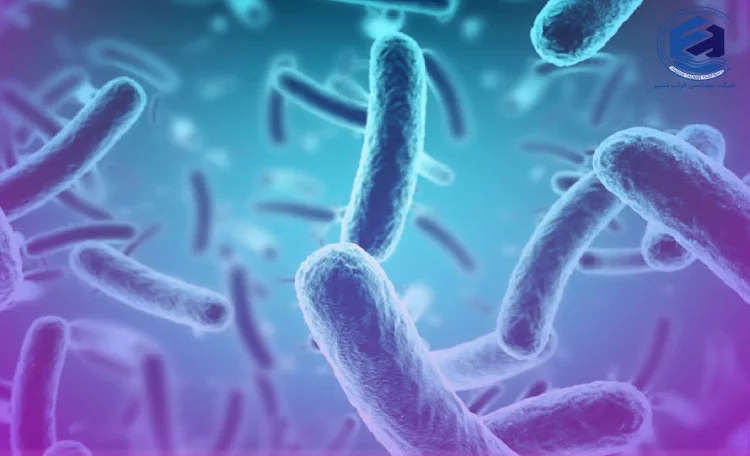 میکروارگانیسم در تصفیه فاضلاب