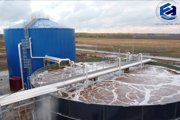 انواع مدیا در فرآیند رشد چسبیده