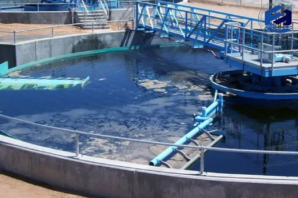 فرآیند بیولوژیکی رشد چسبیده