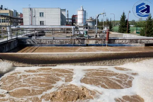 فرآیند رشد چسبیده چیست