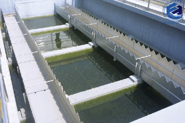 مزایای چربی گیر CPI