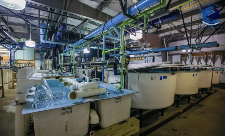 پیش تصفیه فاضلاب