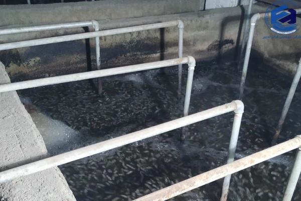 ویژگی تولید کنندگان پکیج تصفیه فاضلاب