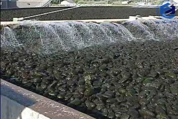 روش صافی چکنده