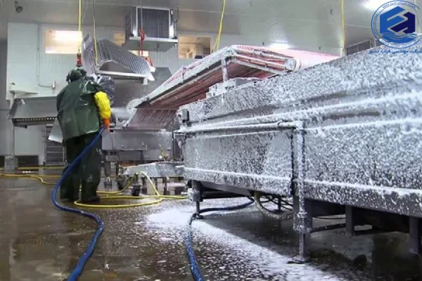 دترجنت چیست؟