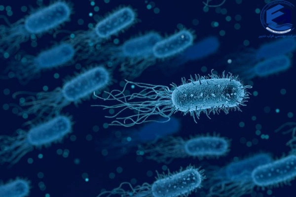 تأثیر رشد باکتری_ها در فرآیند تصفیه فاضلاب