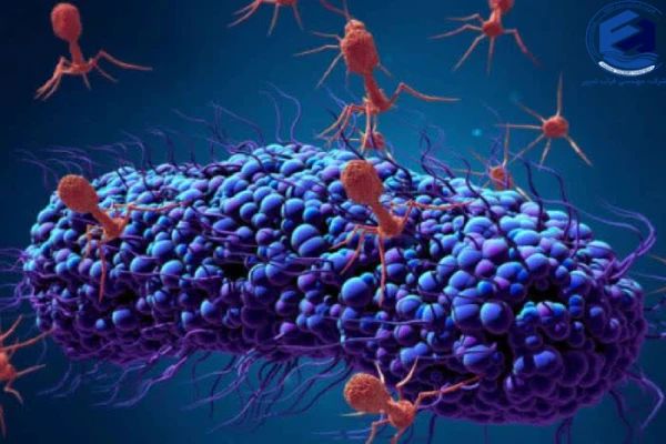 رشد باکتری_ها در فرآیند تصفیه فاضلاب