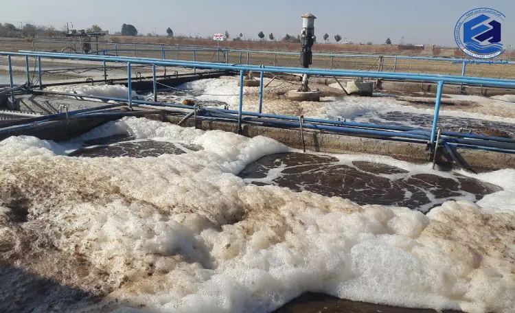 همه چیز درباره فرآیند لجن فعال