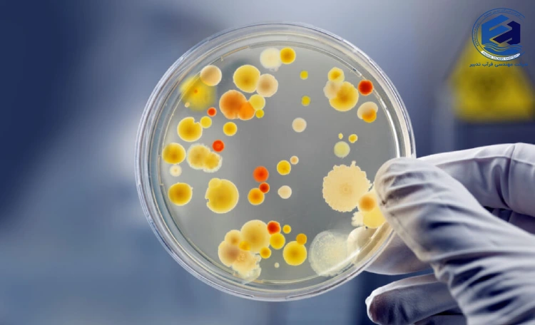 پارامترهای موثر بر رشد باکتری_ها در تصفیه فاضلاب